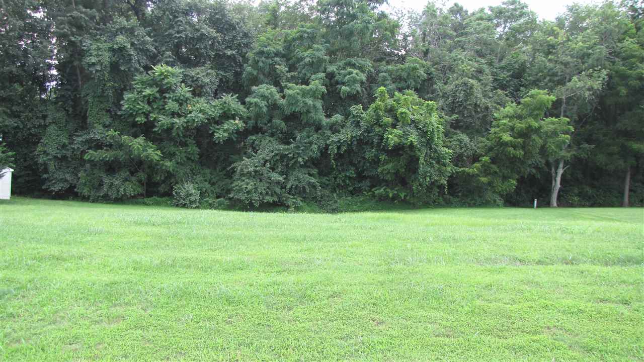 Tbd Long Bow Road Waynesboro, VA 22980 - Photo 2 of 2 a view of outdoor space and yard