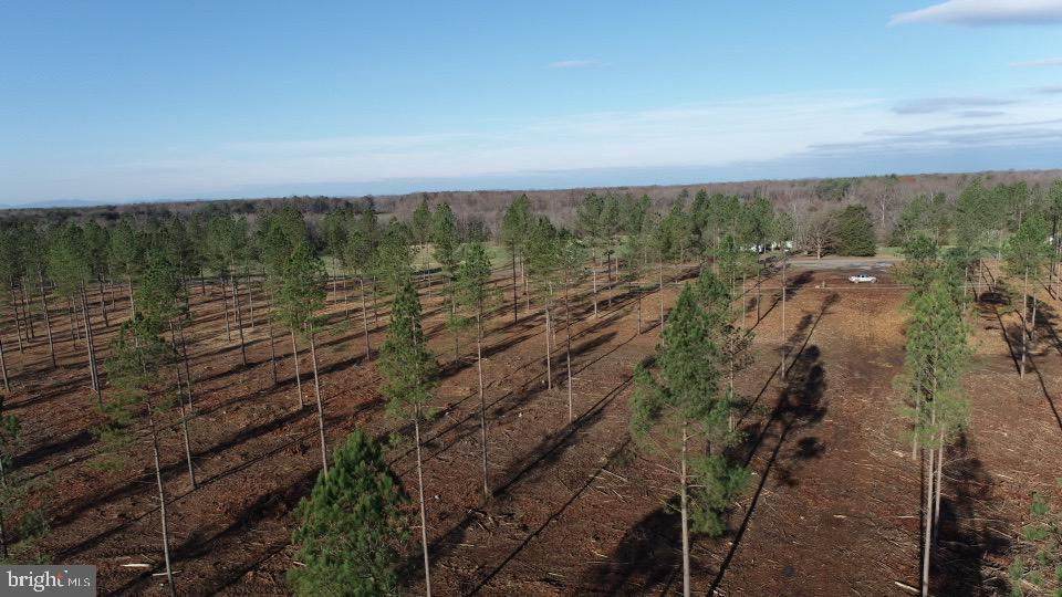 2 Lawyers Road Spotsylvania, VA 22551 - Photo 13 of 14 a view of a green field with lots of trees