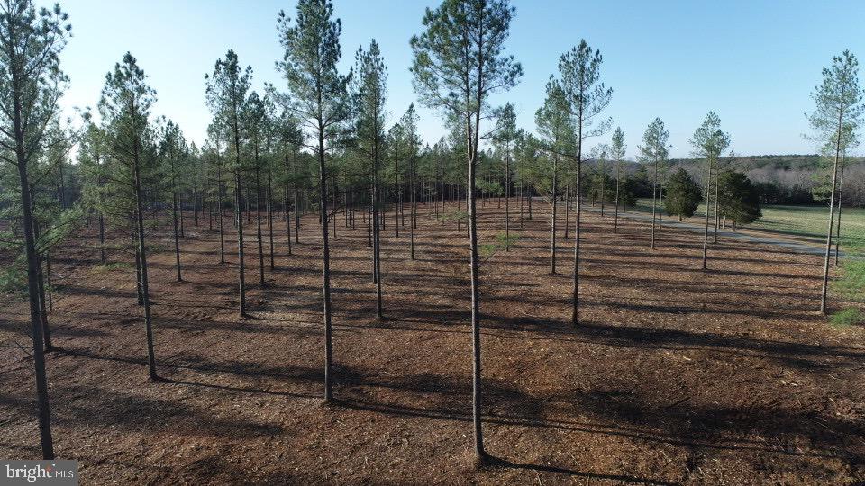 2 Lawyers Road Spotsylvania, VA 22551 - Photo 9 of 14 a view of a yard with trees