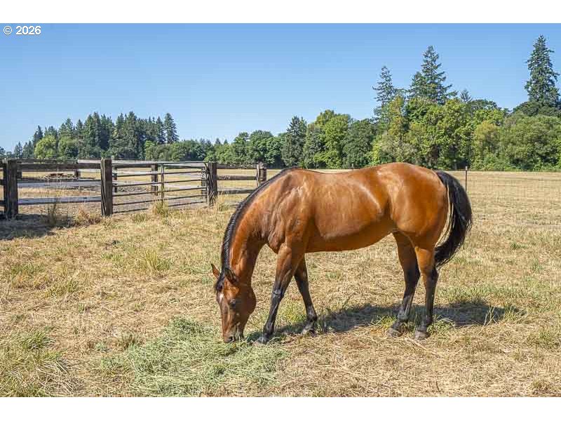 33844 White Oak Road Corvallis, OR 97333 - Photo 2 of 29
