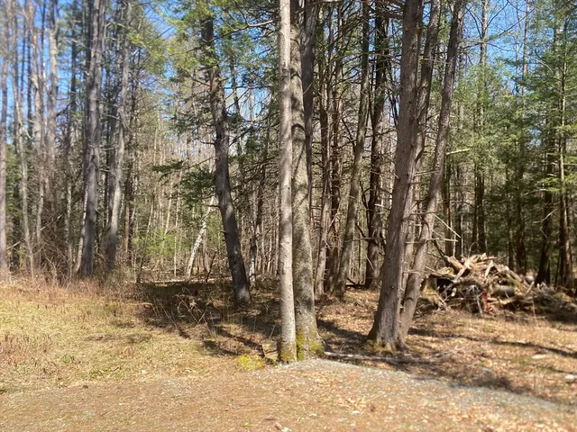 $65,000 | 0 Schaefer Way, Charlemont, MA 01339