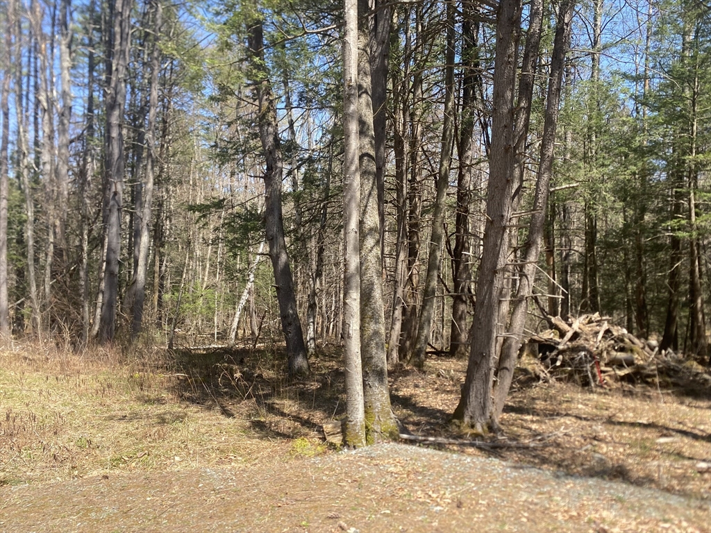 0 Schaefer Way Charlemont, MA 01339 - Photo 15 of 16