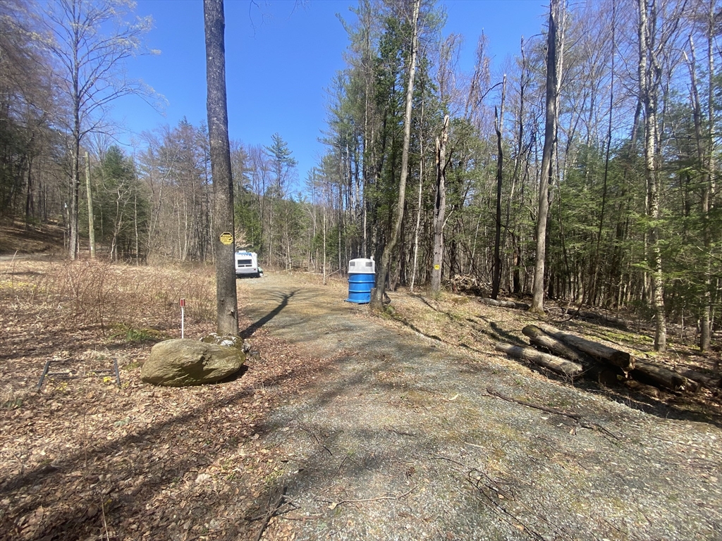 0 Schaefer Way Charlemont, MA 01339 - Photo 16 of 16 a view of a park with large trees