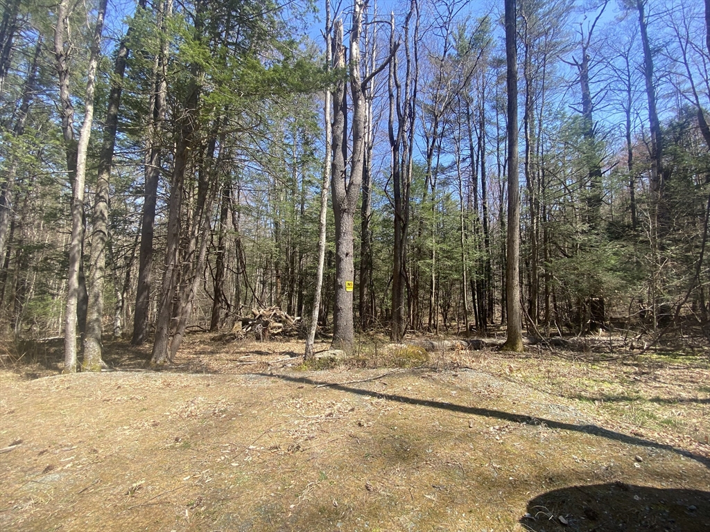 0 Schaefer Way Charlemont, MA 01339 - Photo 4 of 16 a view of snow on the side of a road