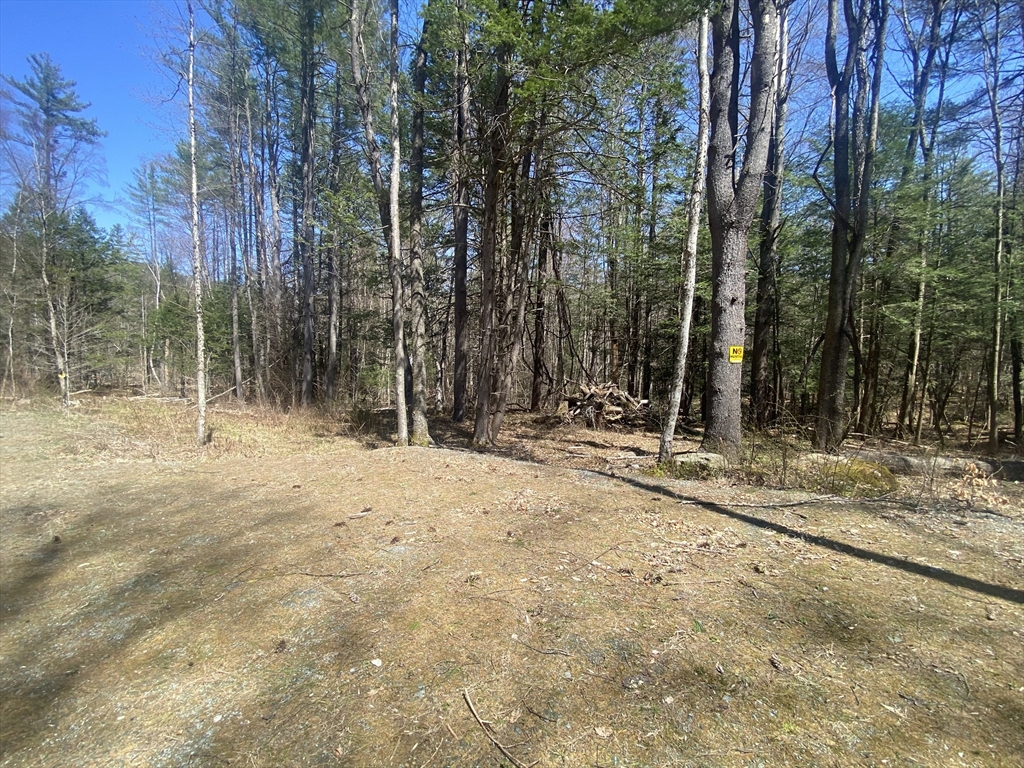 0 Schaefer Way Charlemont, MA 01339 - Photo 5 of 16 a view of outdoor space and yard