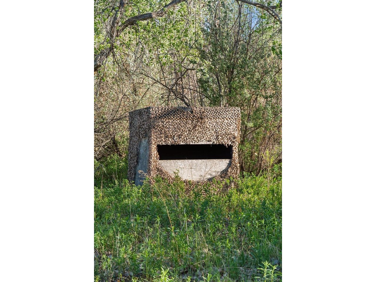 16880 Old Pueblo Road Fountain, CO 80817 - Photo 49 of 49 Small ground blind tucked within the cottonwood grove-ideal for wildlife observation or seasonal hunting