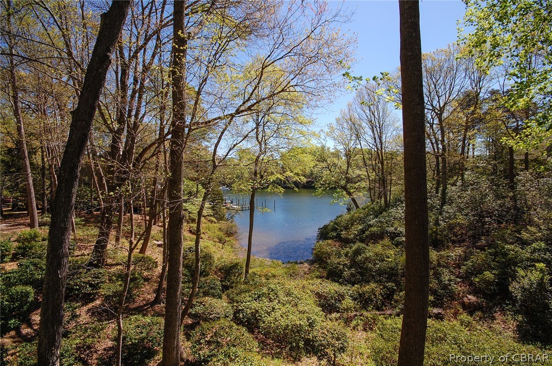 54 D Villa Ridge Drive, Unit D Hartfield, VA 23071 - Photo 4 of 34 MORE LOVELY VIEWS FROM WATERSIDE DECK