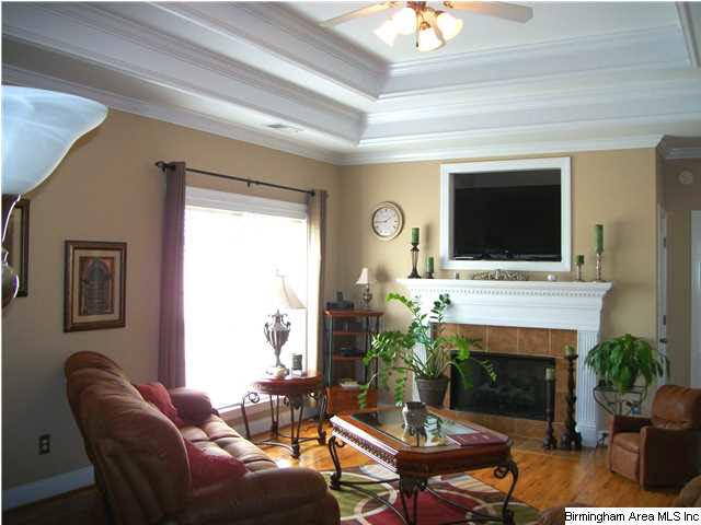 235 Ridgefield Drive Odenville, AL 35120 - Photo 8 of 31