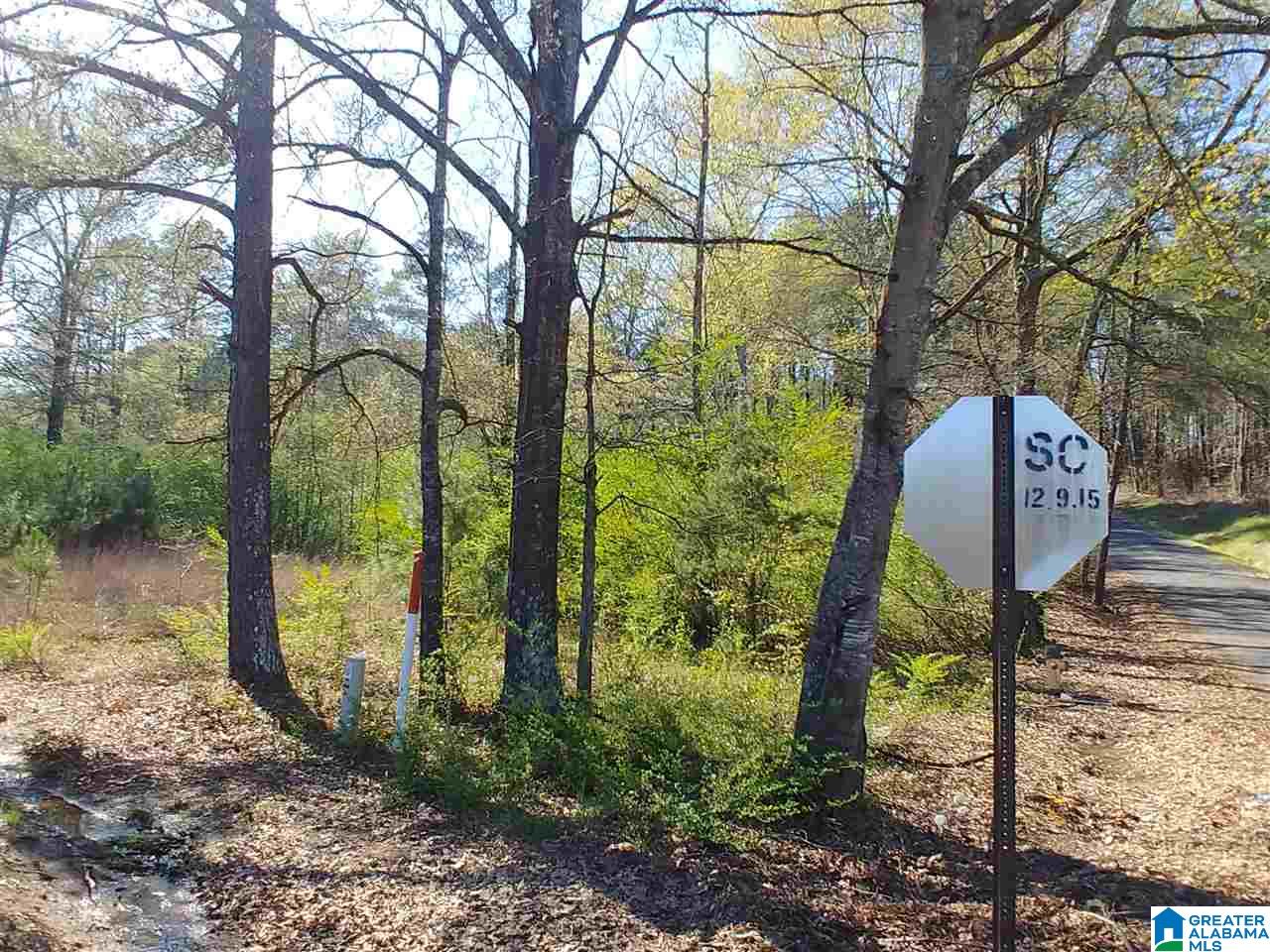 0 Roberts Mill Pond Road, Unit 1 39 Pell City, AL 35128 - Photo 20 of 29