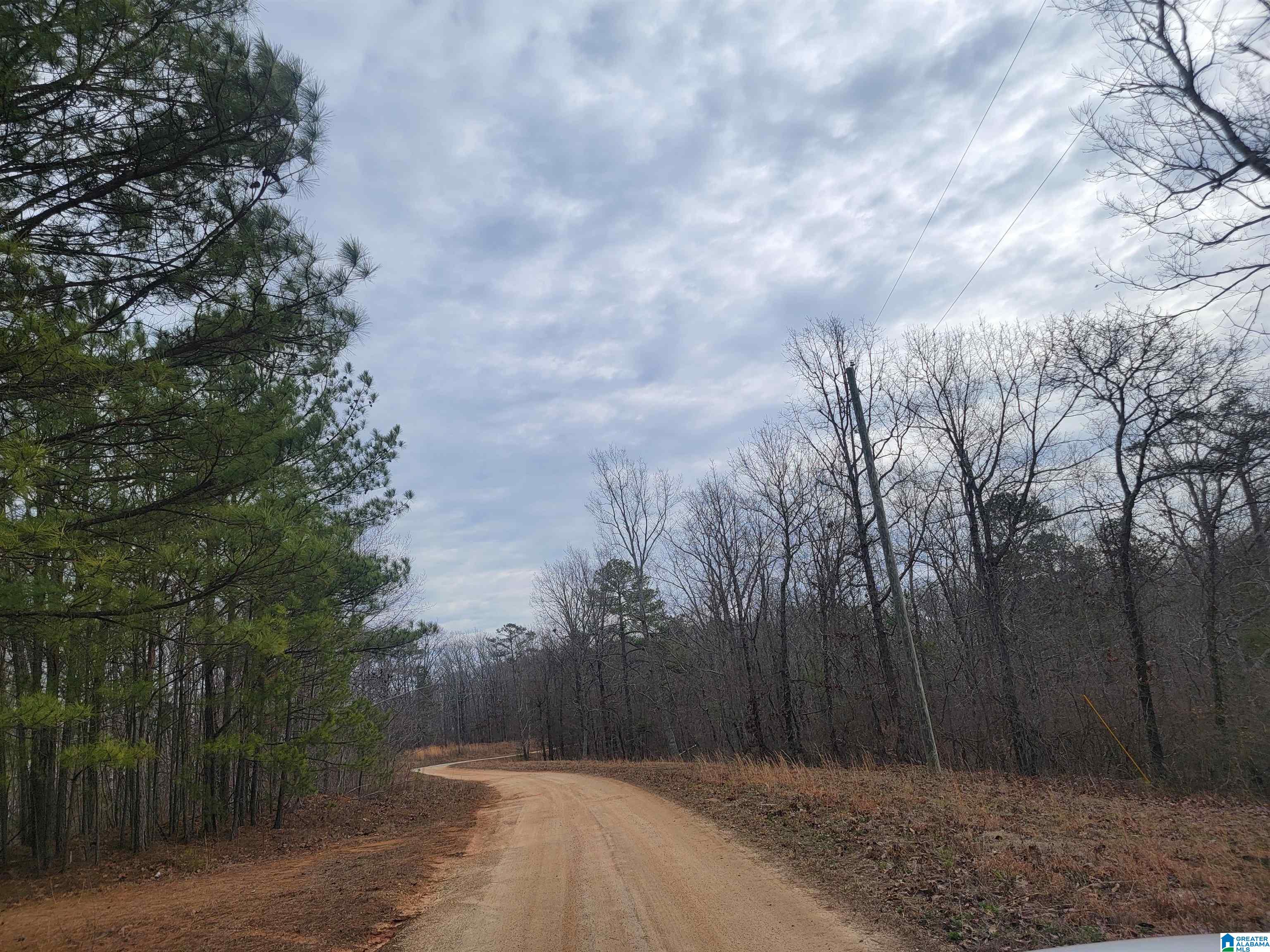 Lot 11 County Road 116, Unit 11 Heflin, AL 36264 - Photo 1 of 2