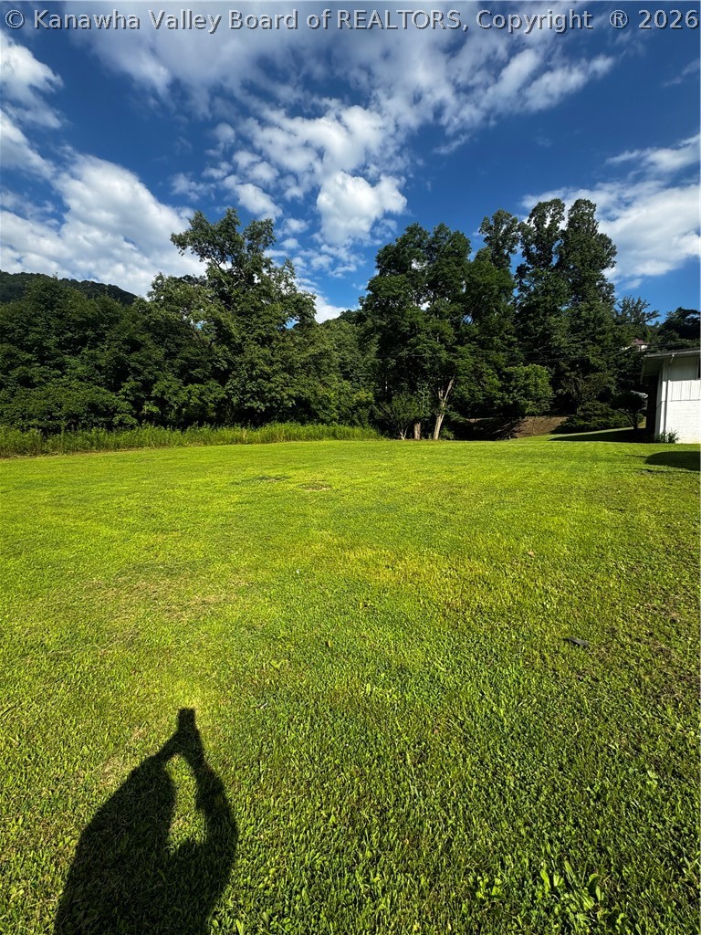 15398 Spruce River Road Foster, WV 25081 - Photo 21 of 48 Gallery Image 21