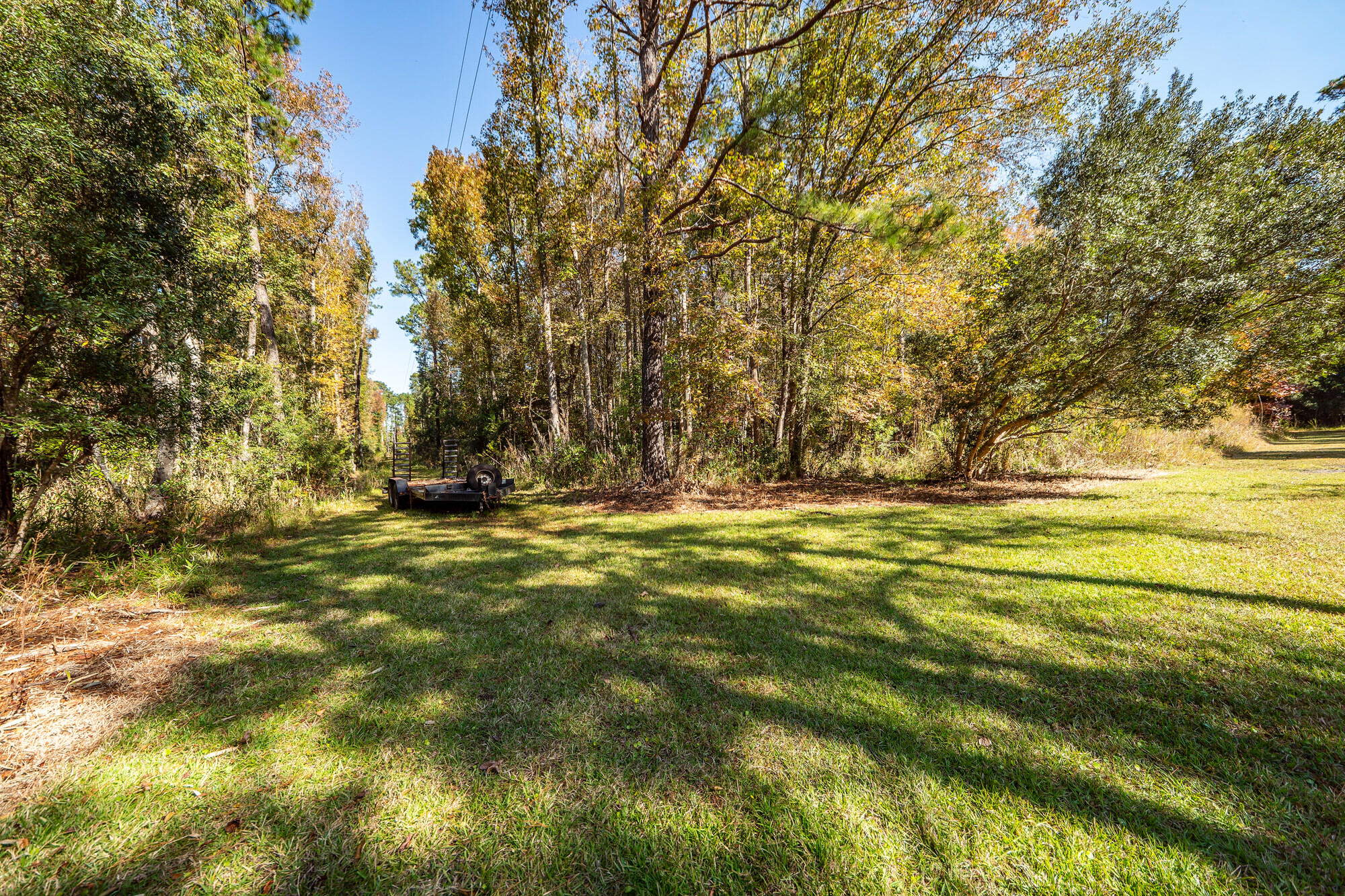 5950 Lowell Reed Road Ravenel, SC 29470 - Photo 91 of 120 76