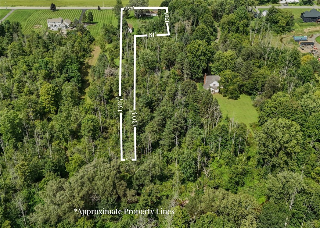 1235 Peck Road Parma, NY 14468 - Photo 2 of 49 Gallery Image 2