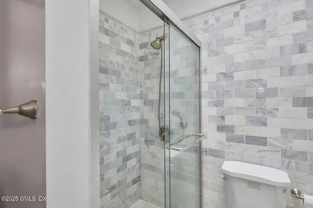 a bathroom with a toilet and a shower