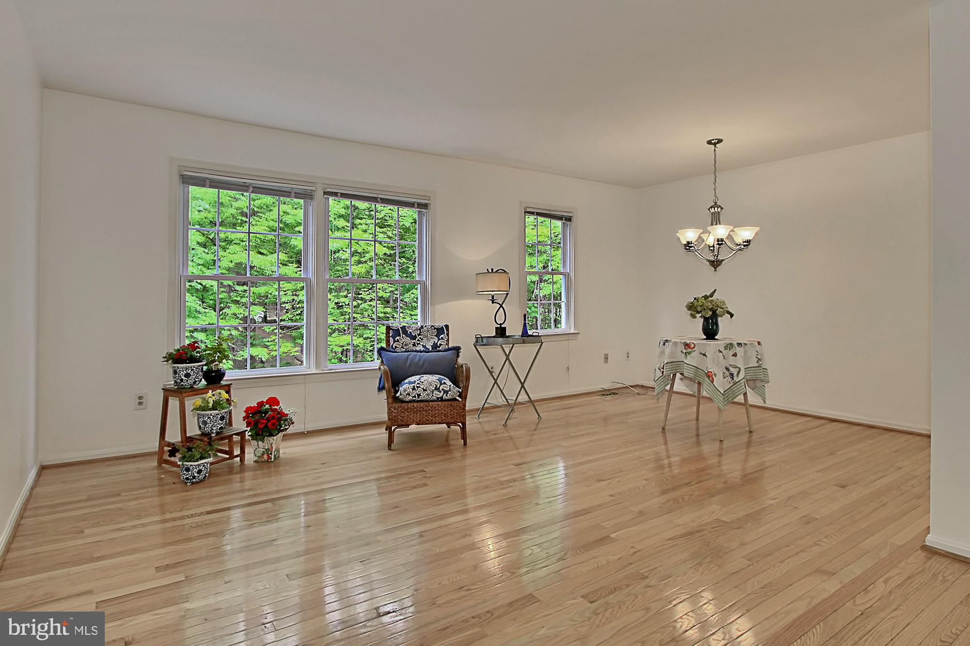 8566 Tyrolean Way Springfield, VA 22153 - Photo 5 of 34 Living and dining room combination