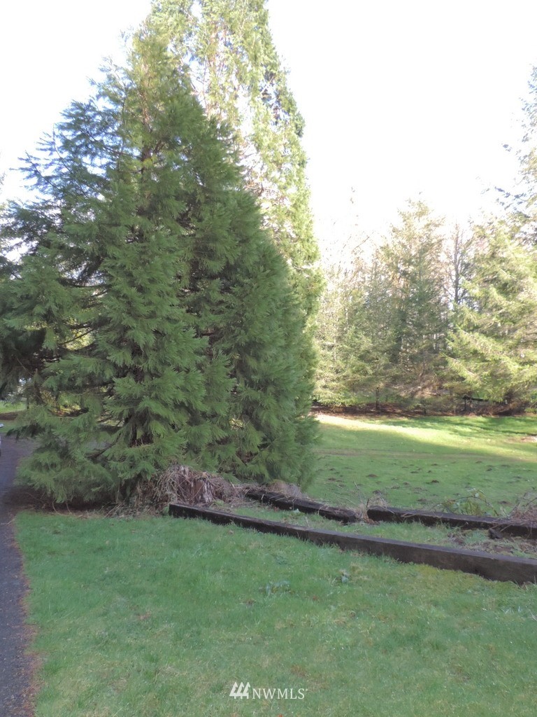123 Core Road Silver Creek, WA 98585 - Photo 25 of 25 Gallery Image 25