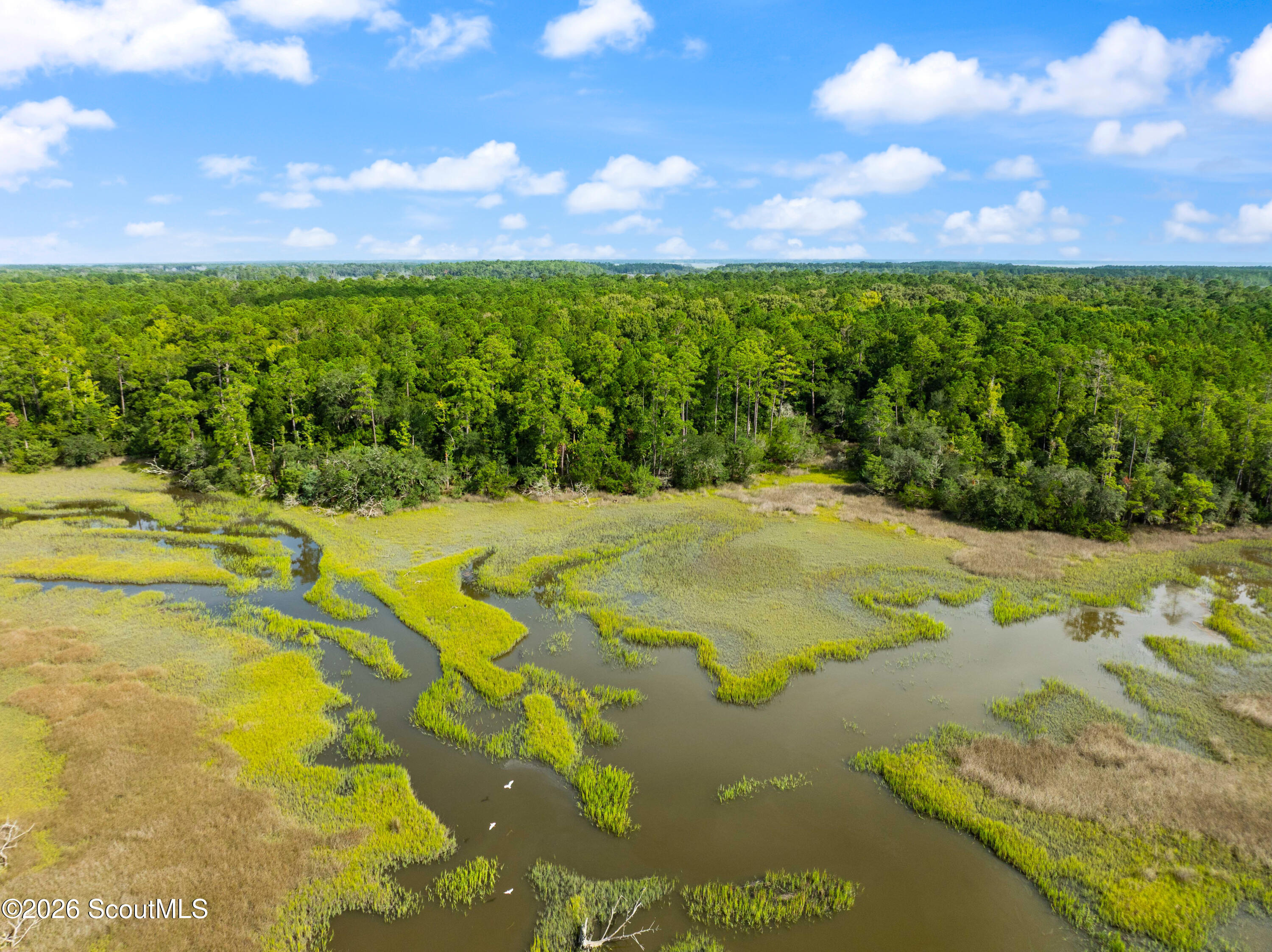 2265 Young Man Road Northeast Townsend, GA 31331 - Photo 4 of 21 DJI_0039