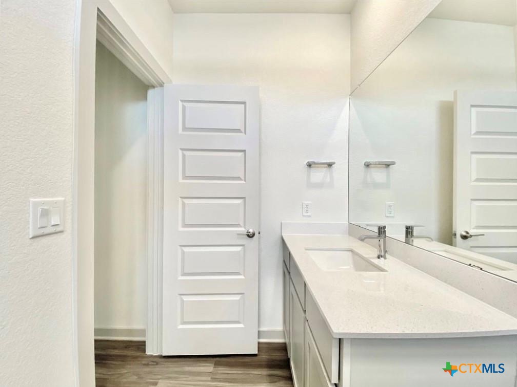 100 Geminiflora Bend Leander, TX 78641 - Photo 21 of 38 a bathroom with a sink and a mirror