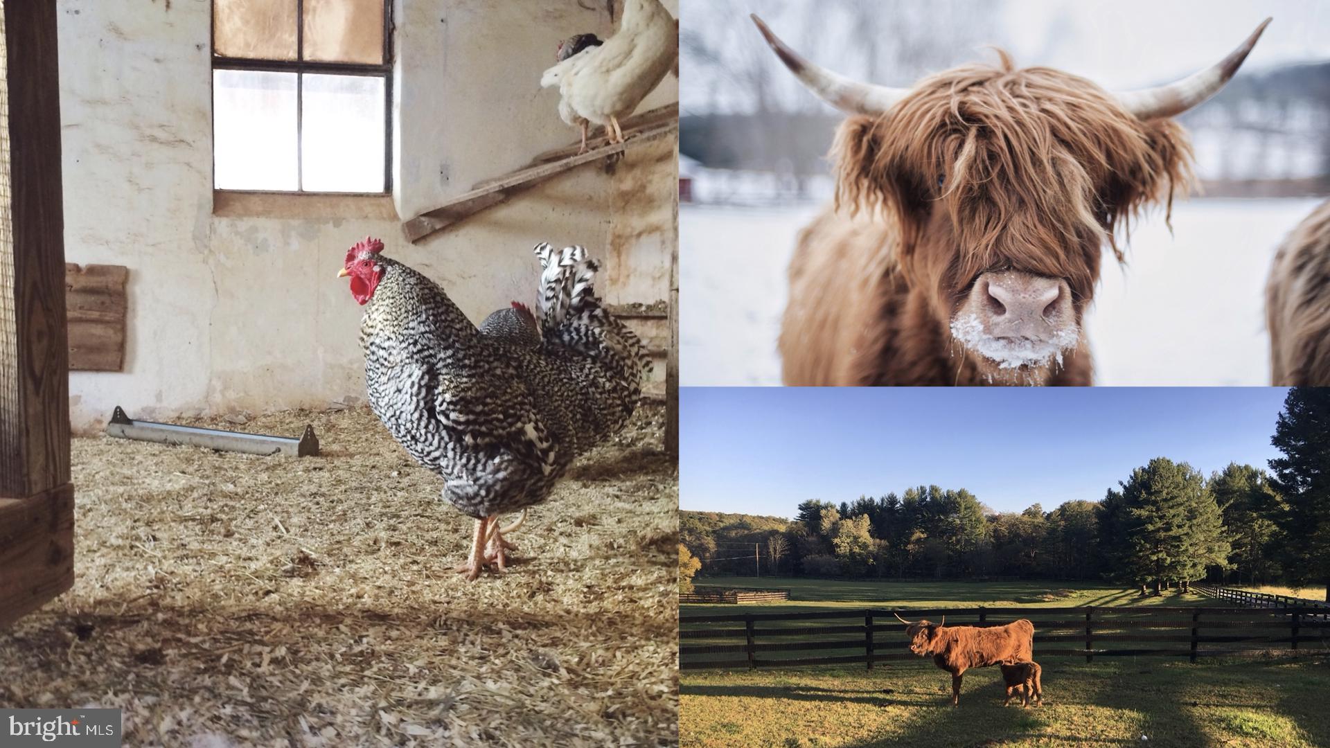 1906 Freeland Road Freeland, MD 21053 - Photo 13 of 83