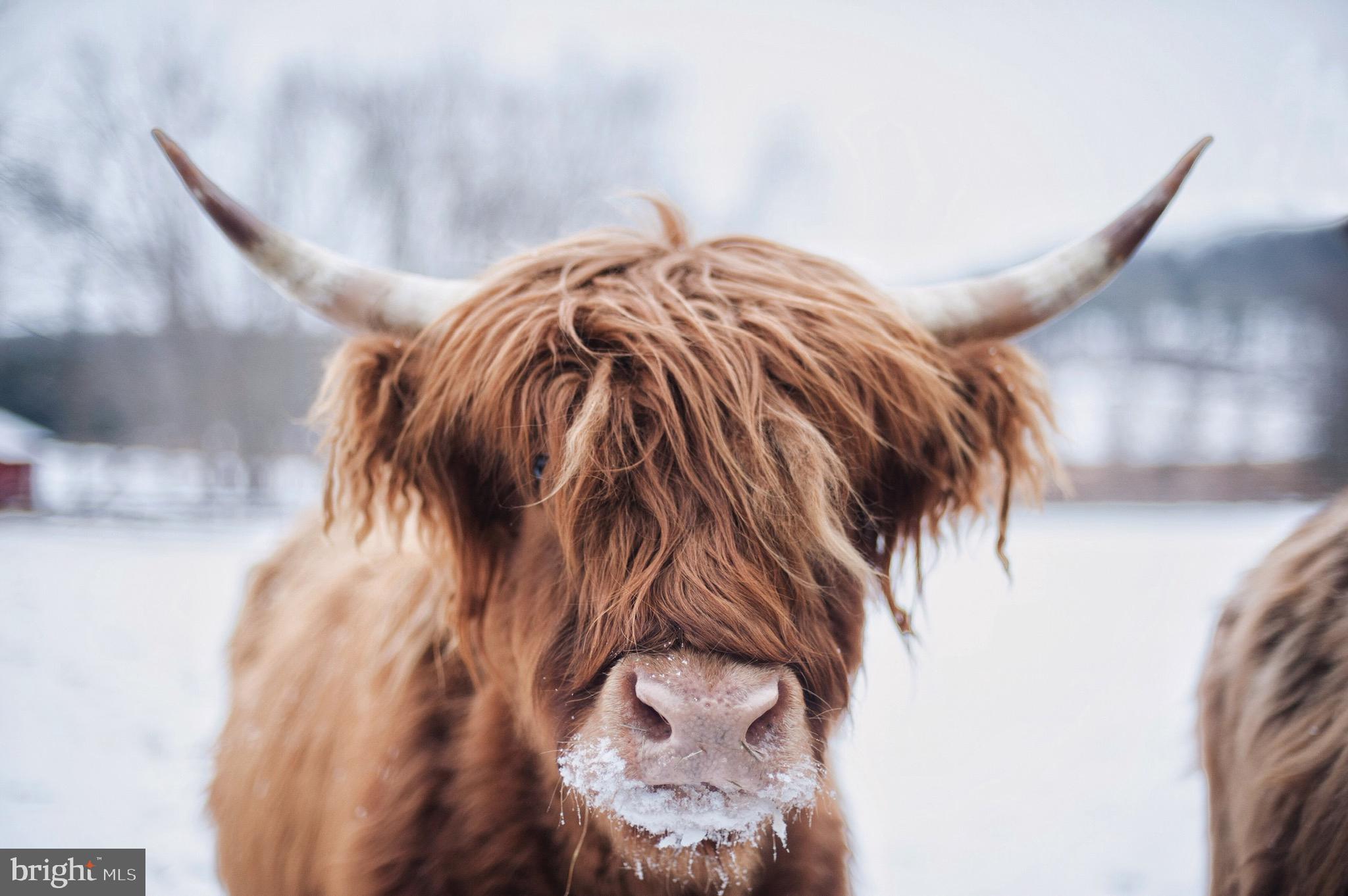 1906 Freeland Road Freeland, MD 21053 - Photo 76 of 83