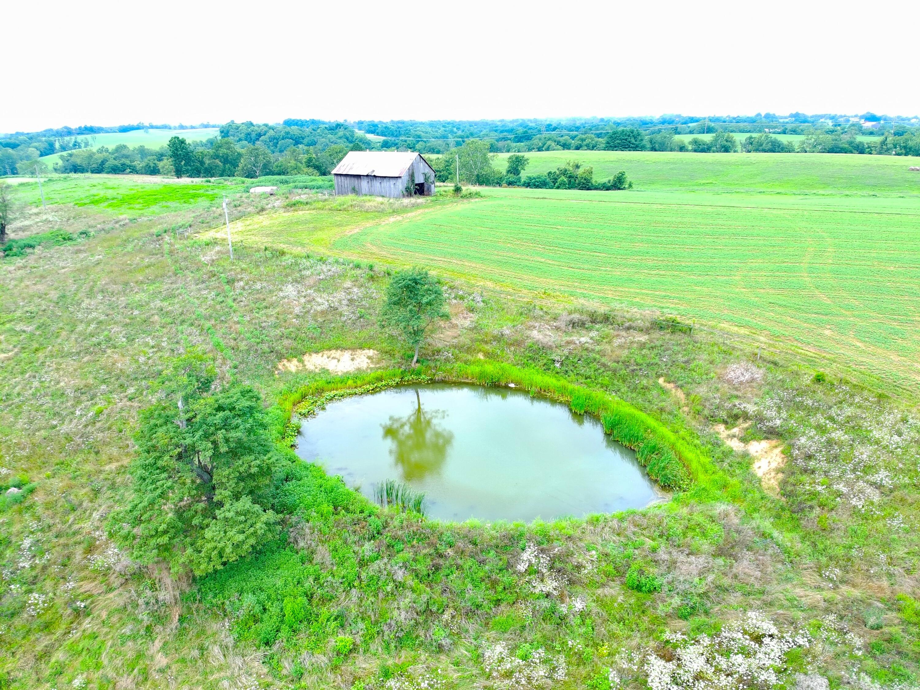 4088 Moorefield Road Carlisle, KY 40311 - Photo 22 of 29 MAX_0145