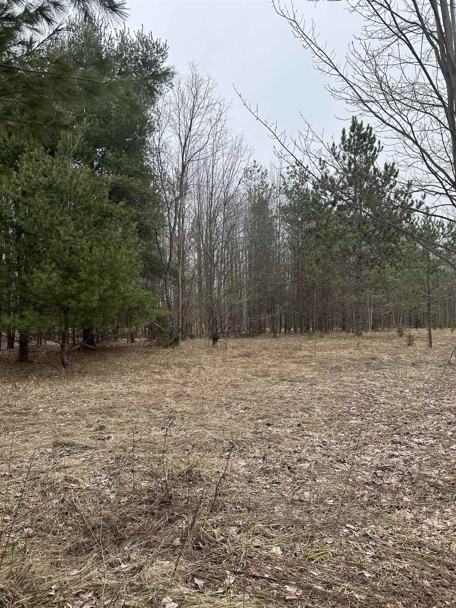9537 Lakeview Road Alanson, MI 49706 - Photo 6 of 9