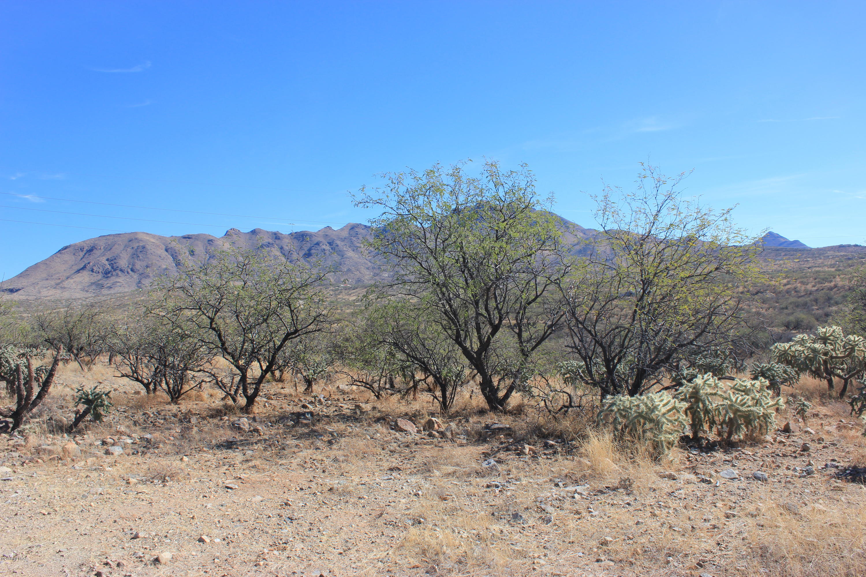 1739 Faro Court, Unit 65 Rio Rico, AZ 85648 - Photo 1 of 1