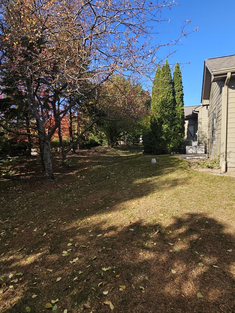 2013 Jeffrey Lane, Unit 2013 Elgin, IL 60123 - Photo 5 of 27 a view of road and trees