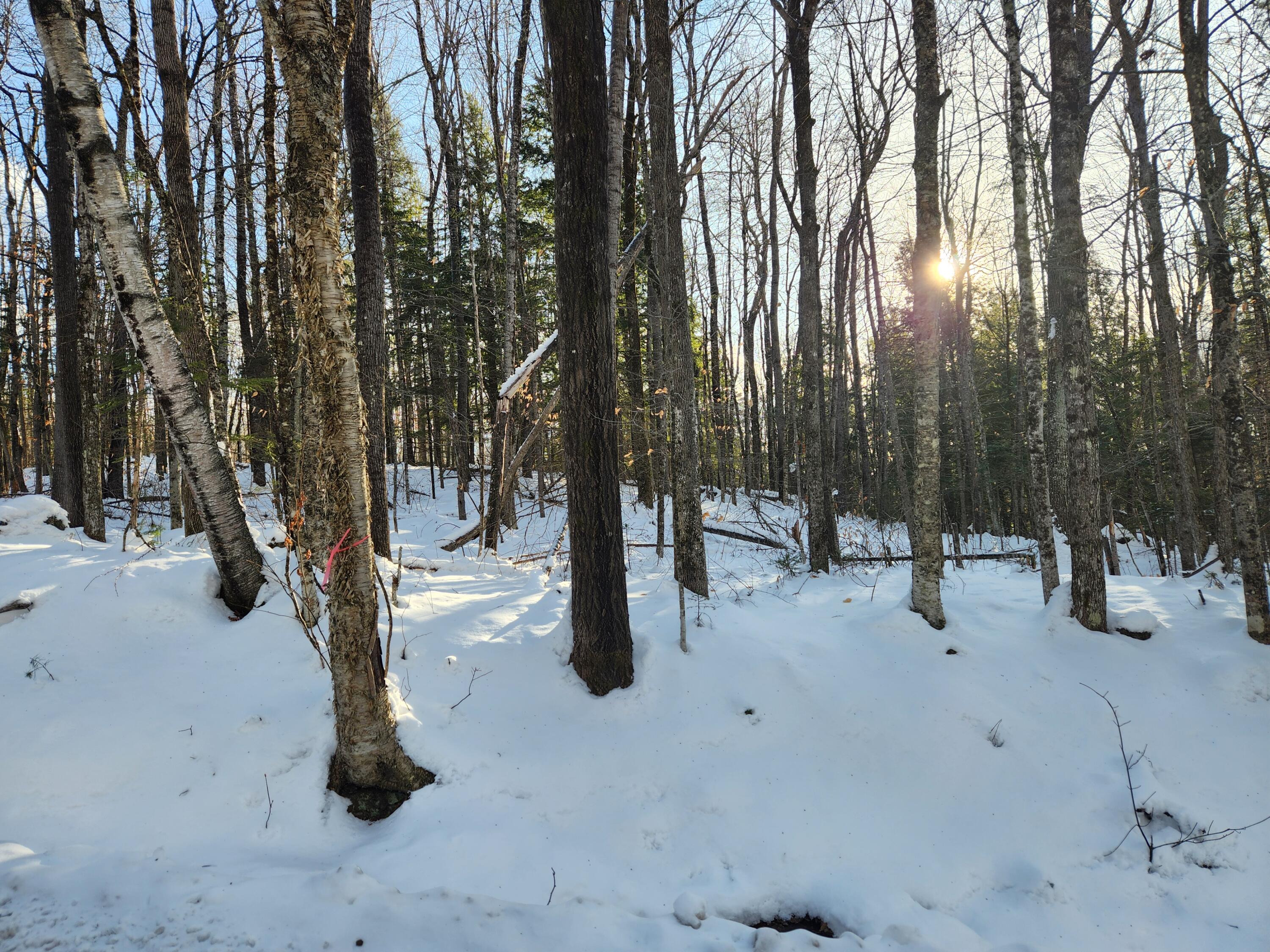 Map R15-37 Map R15-37 Fields Hill Road Sumner, ME 04292 - Photo 2 of 10 20260102_141517