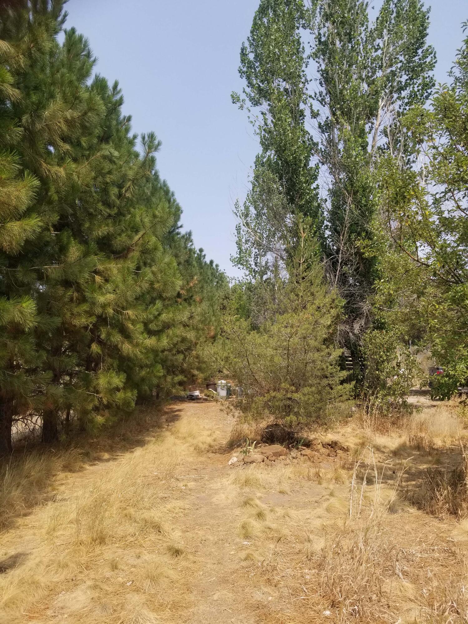 30852 Drews Road Chiloquin, OR 97624 - Photo 41 of 49 41