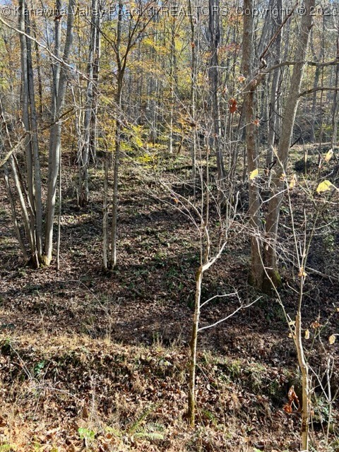 0 North Grapevine Road Charleston, WV 25320 - Photo 4 of 22 Gallery Image 4