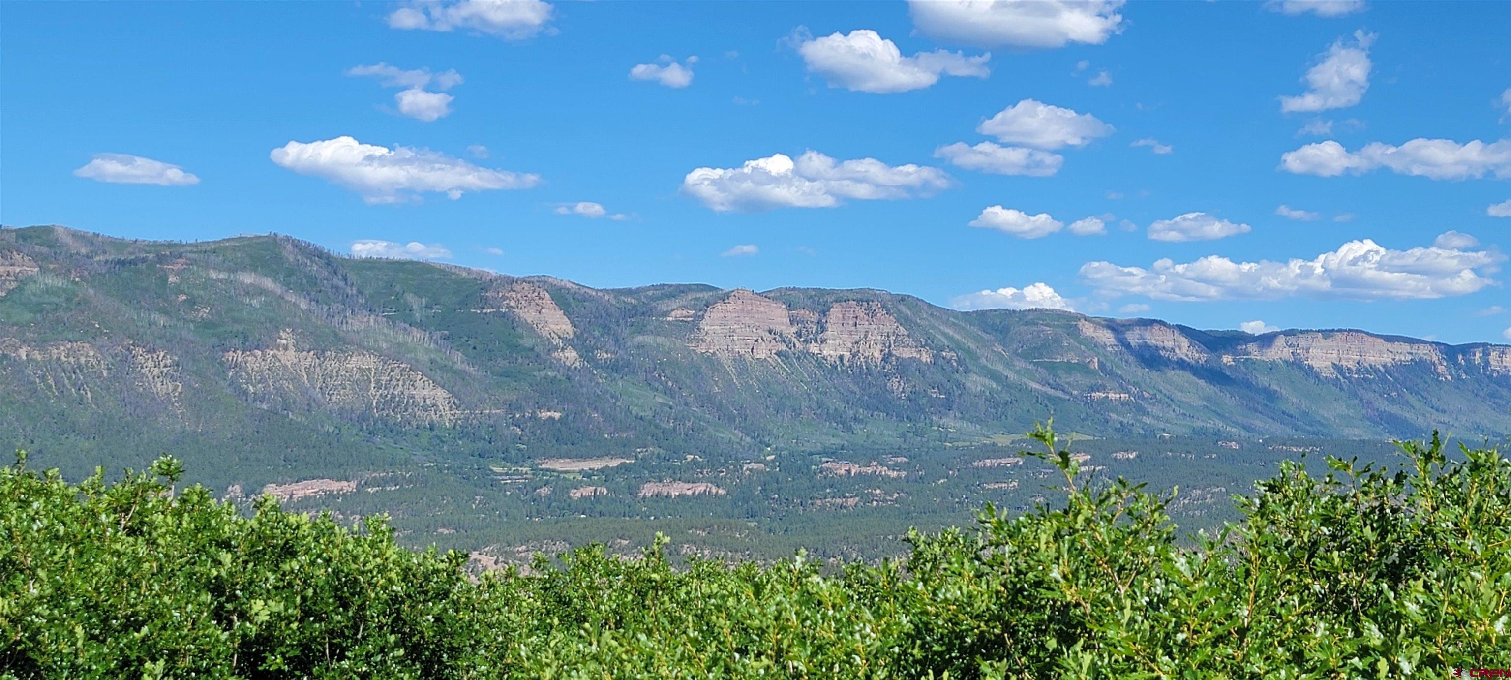 188 Grouse Point Durango, CO 81301 - Photo 8 of 9
