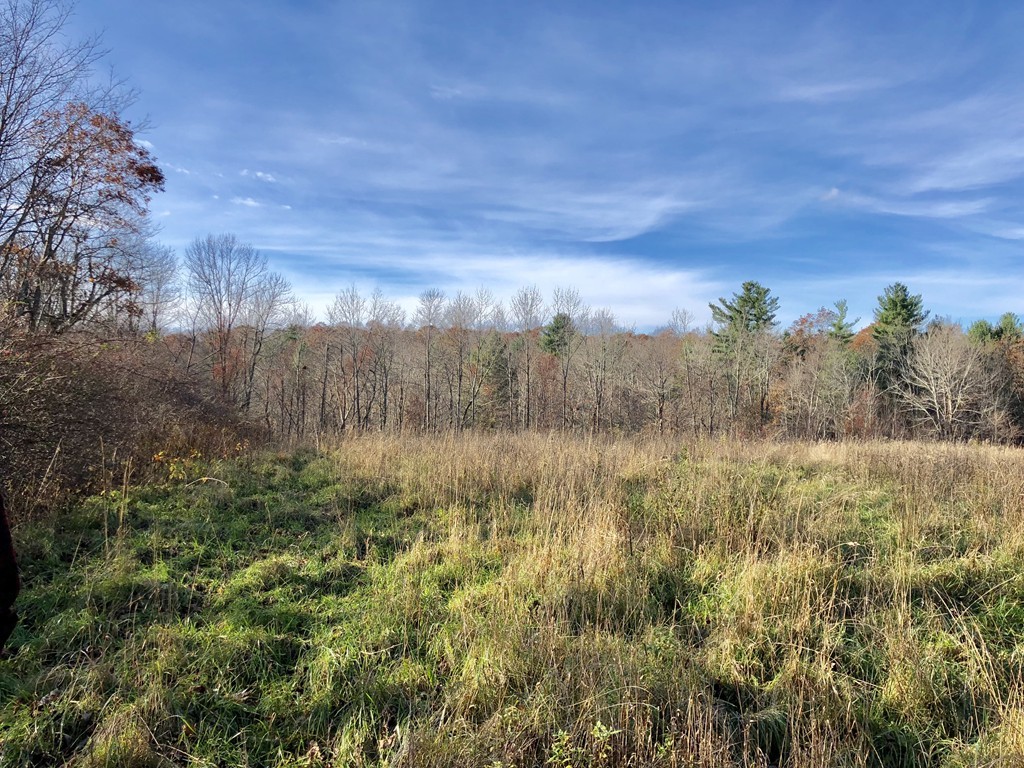 9 Bell Road North Brookfield, MA 01535 - Photo 9 of 21 Gallery Image 9