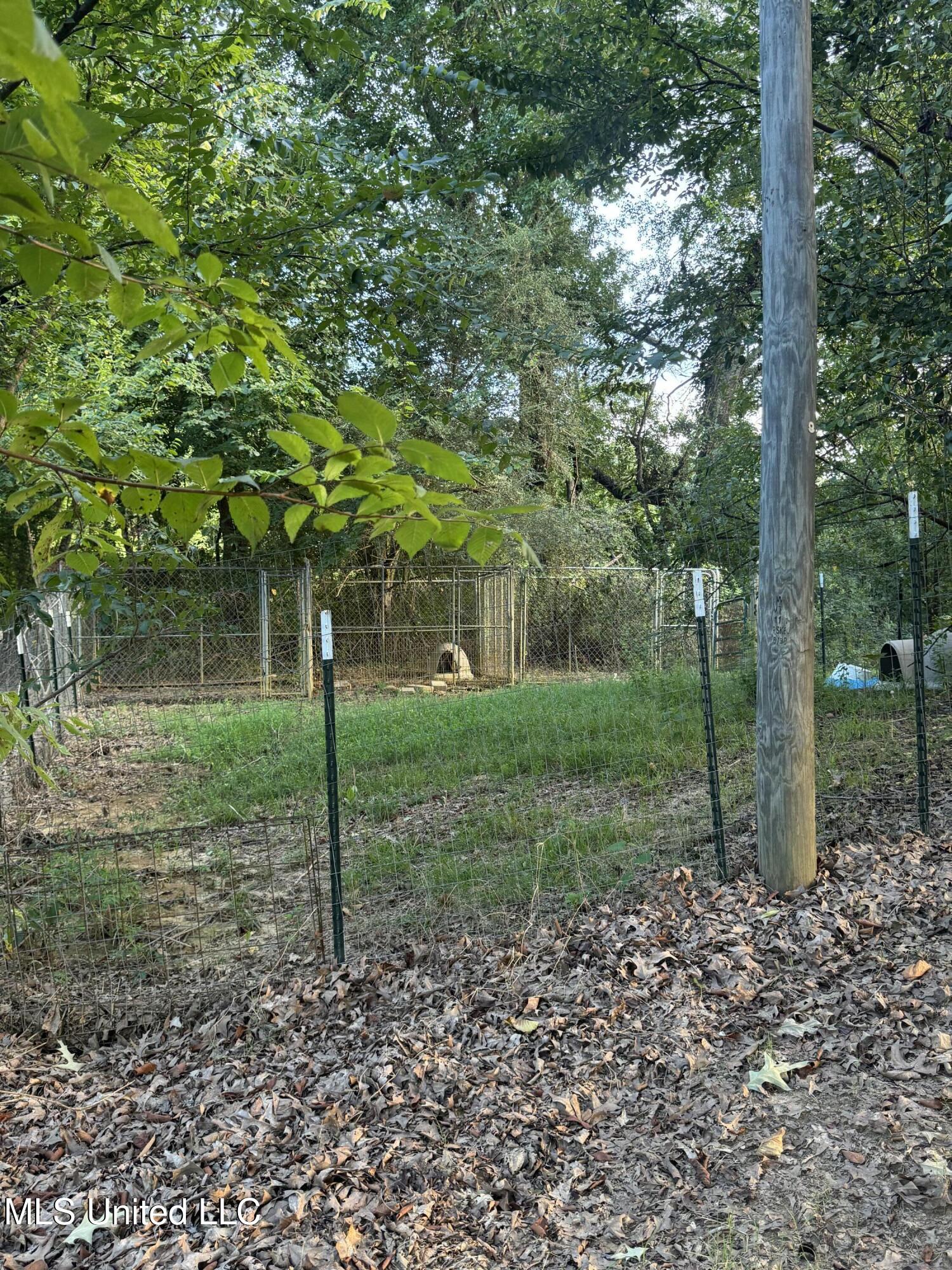 4368 County Road 87 Vaiden, MS 39176 - Photo 18 of 18 IMG_3168