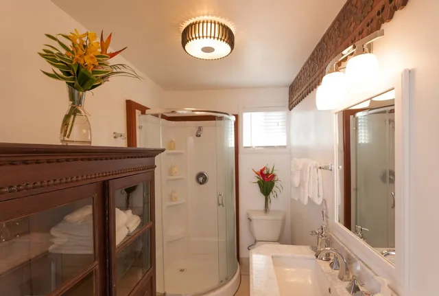 a bathroom with a sink a mirror and a shower