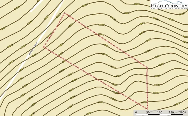 a view of a garden with plants