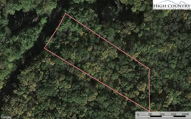 a view of a forest from a balcony