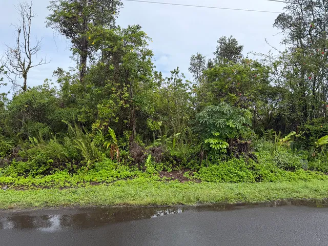 a backyard of a house with a yard and plants