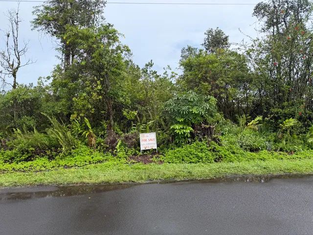 a green field with trees in the background