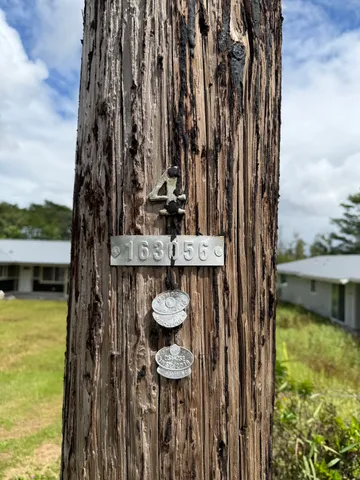 a view of swimming pool from a yard