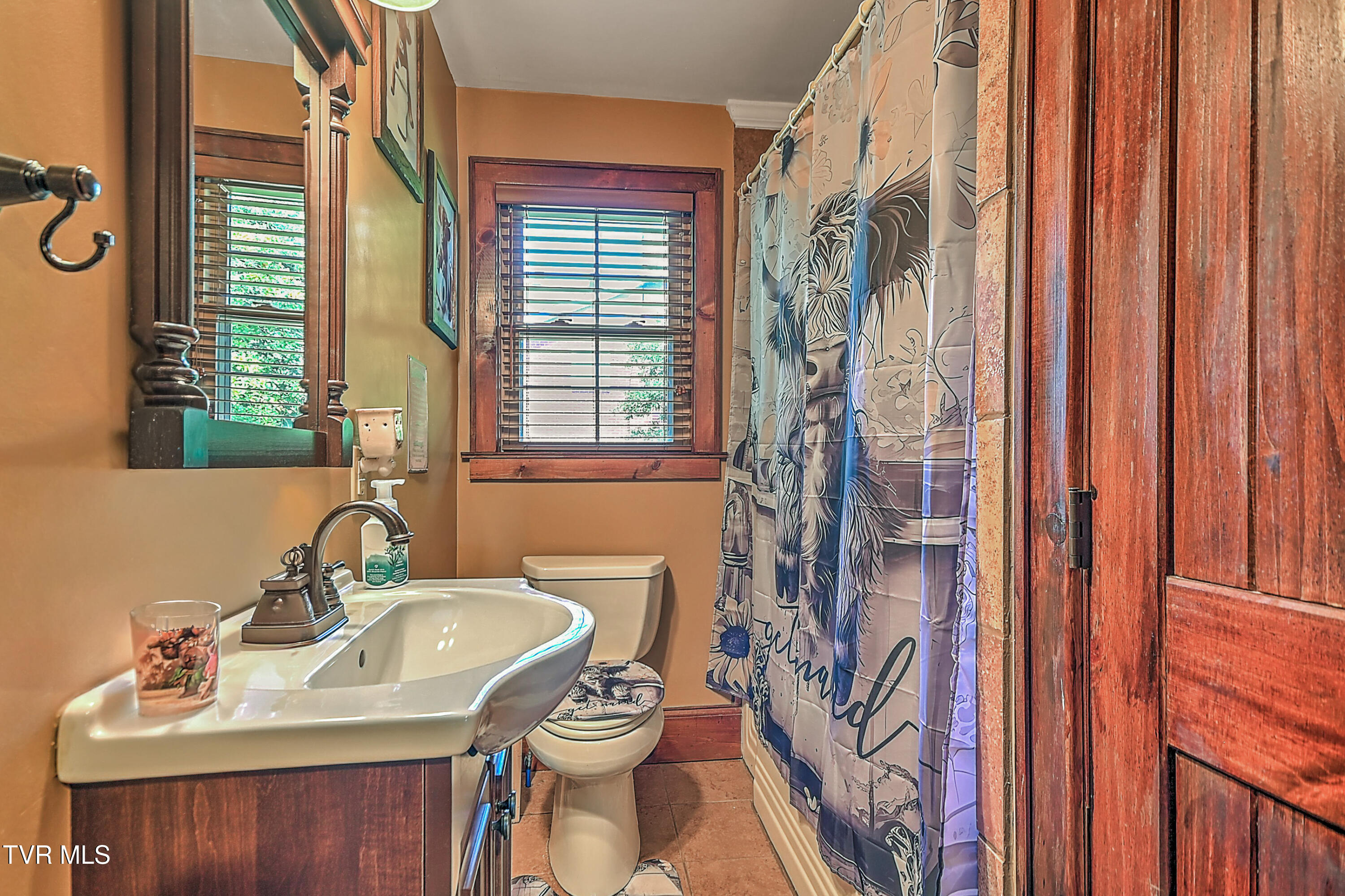 700 Park Street Bristol, VA 24201 - Photo 20 of 45 700 Park St DB-17