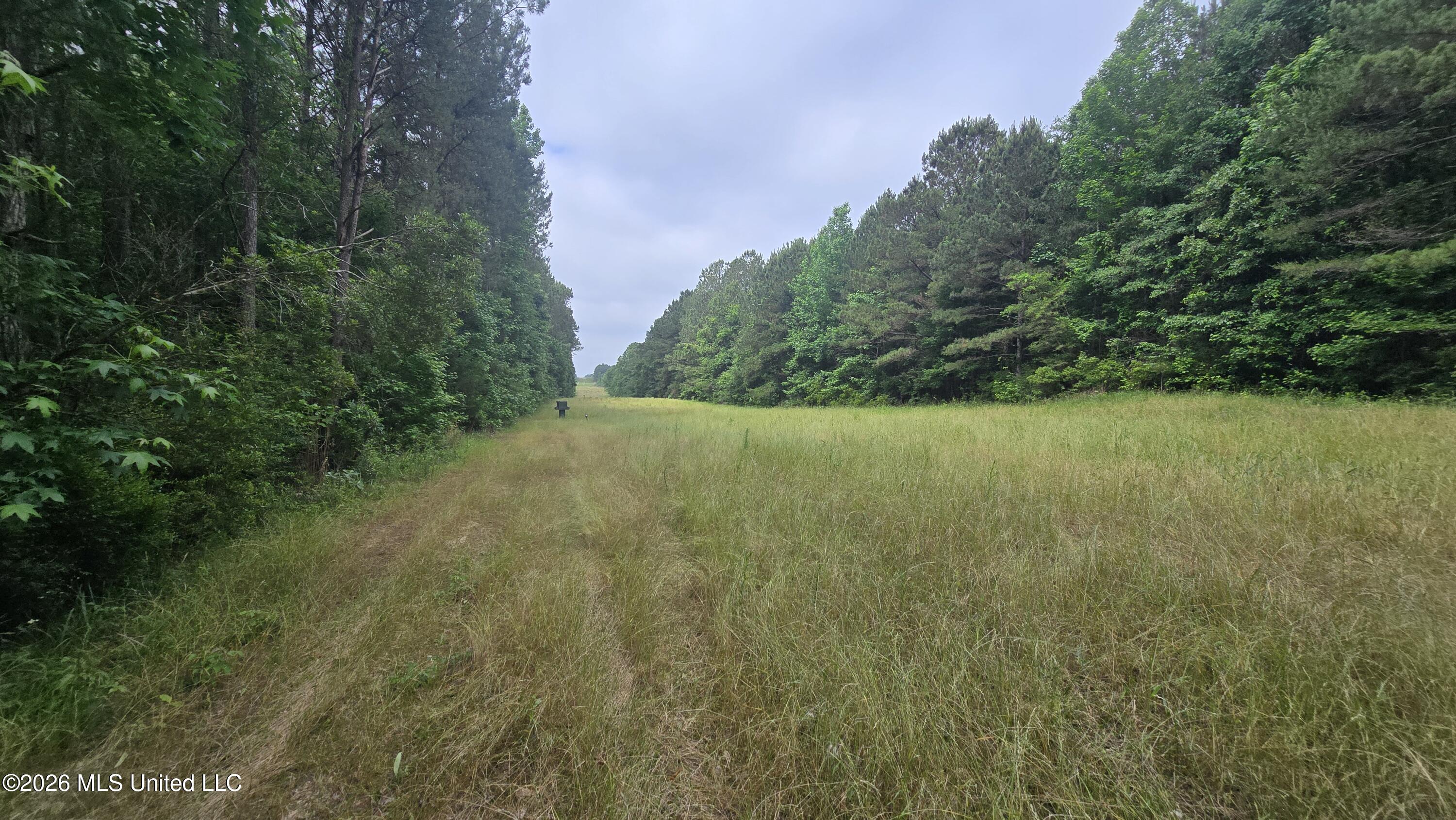 189 Co Road Bay Springs, MS 39422 - Photo 20 of 61 20260513_104555