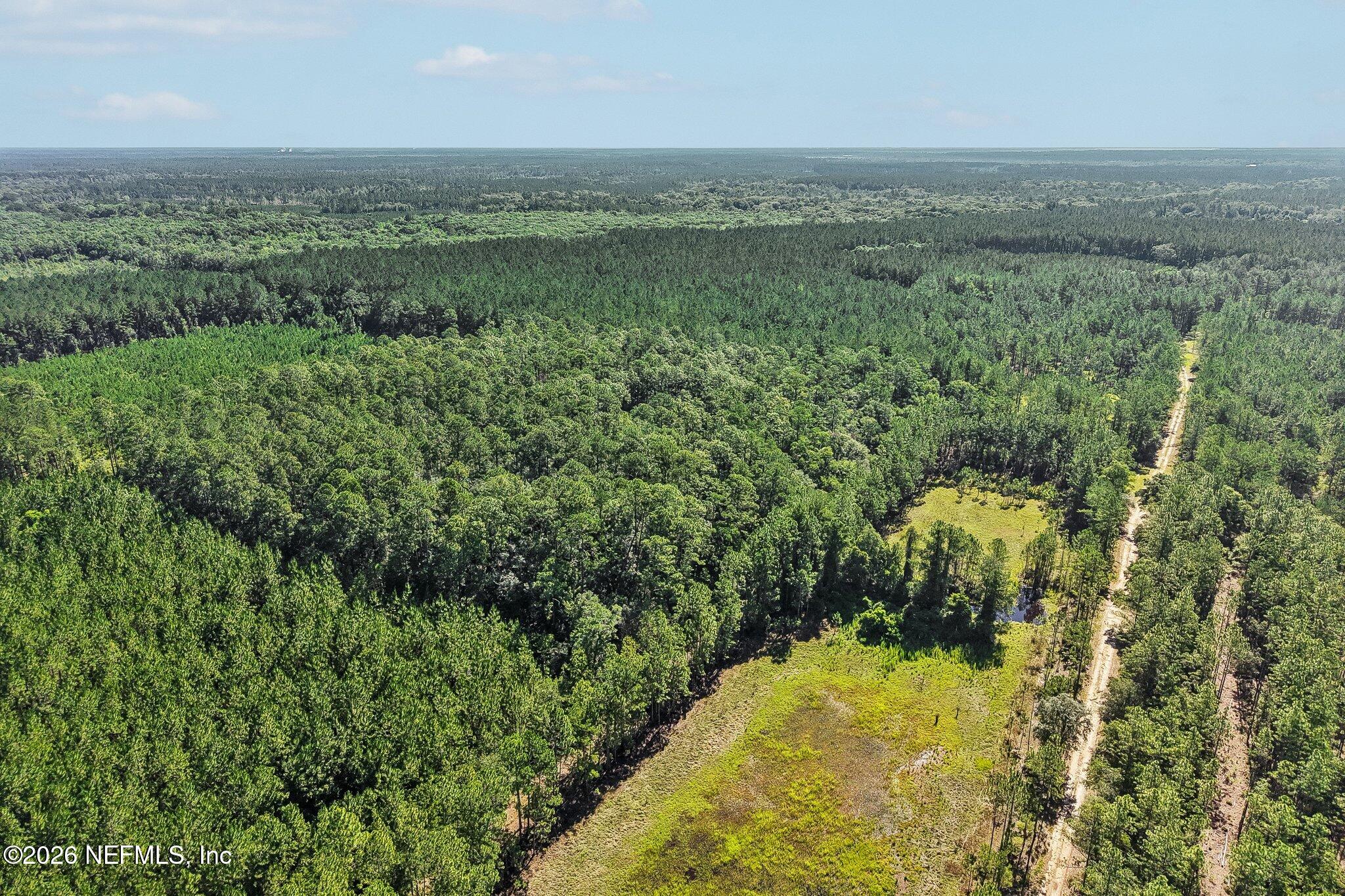0 Coopers Neck Road Hilliard, FL 32046 - Photo 10 of 15 8-web-or-mls-Coopers Neck Rd-S2506-008
