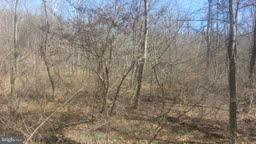 Blue Brook Road Berkeley Springs, WV 25411 - Photo 4 of 10 Exterior (General)