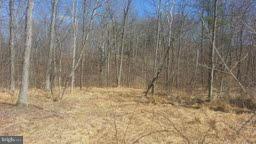Blue Brook Road Berkeley Springs, WV 25411 - Photo 6 of 10 Exterior (General)