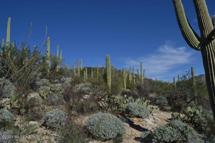 12265 East Coronado Road, Unit 46 Tucson, AZ 85749 - Photo 38 of 41
