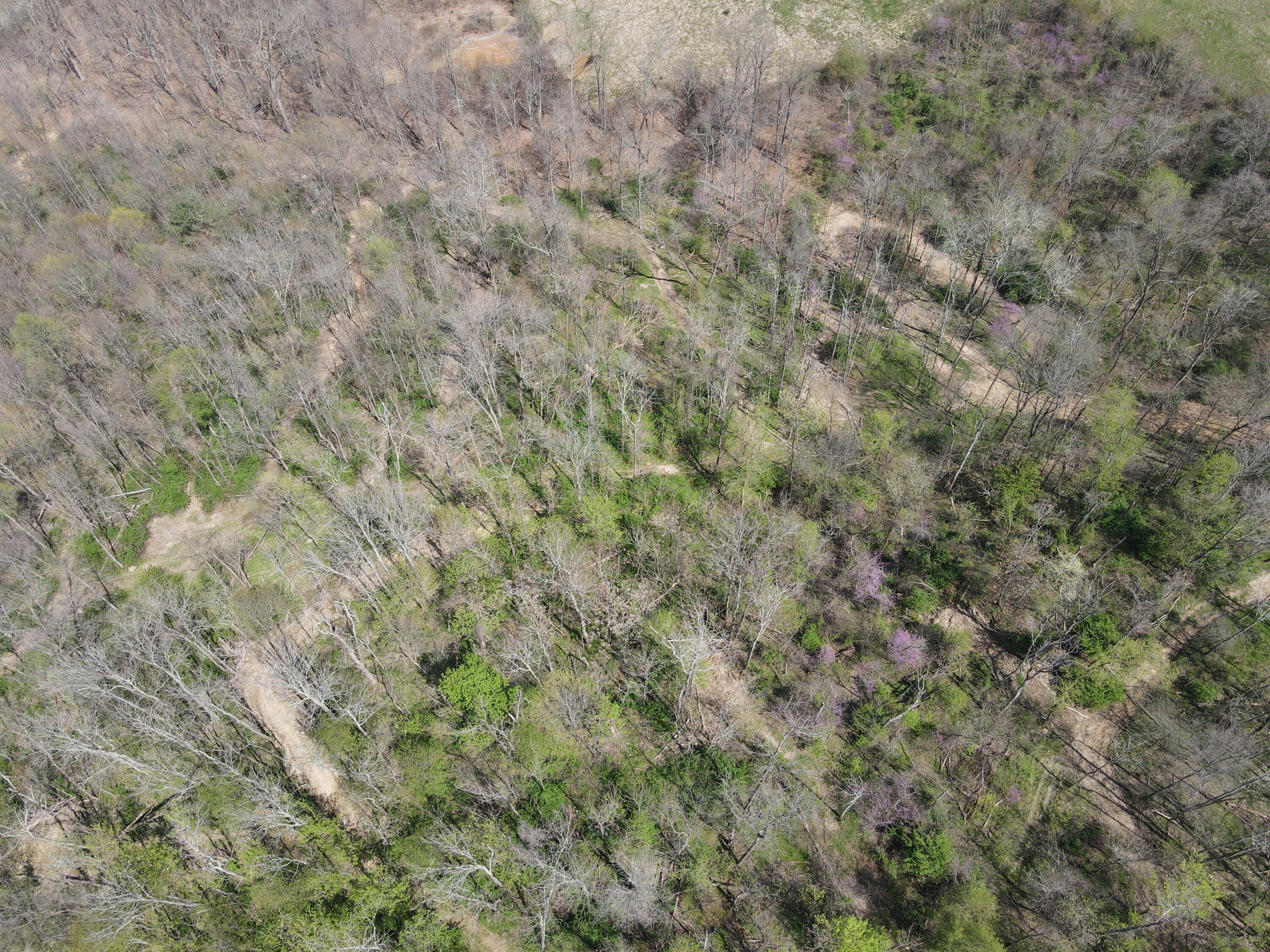 8670 Hoop Pole Road Roseville, OH 43777 - Photo 60 of 65 DJI_0013