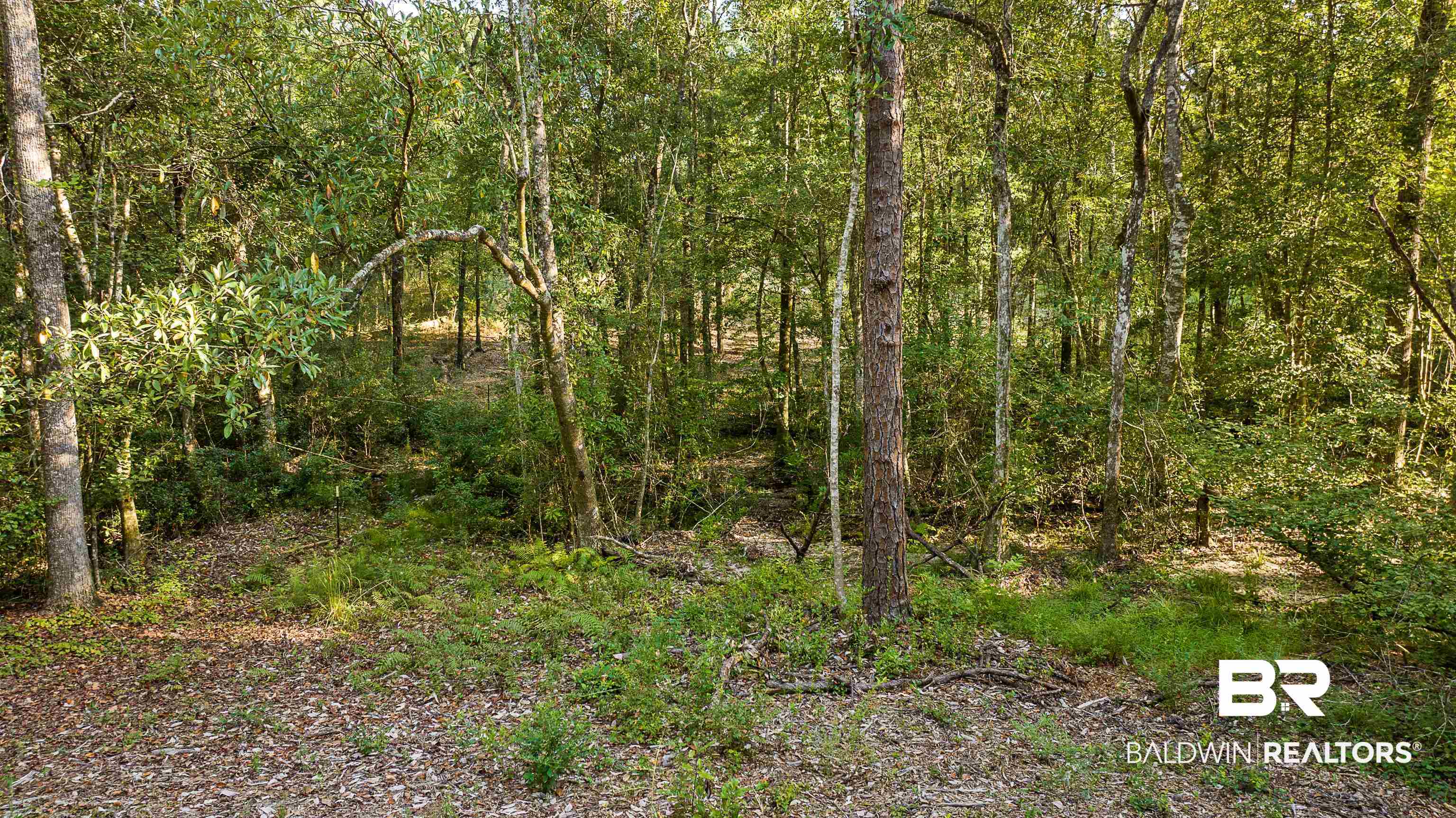 8190 Dixon Road Bay Minette, AL 36507 - Photo 12 of 13