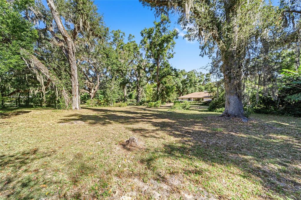 3590 Southwest 24th Avenue Road Ocala, FL 34471 - Photo 49 of 76 Expansive Backyard