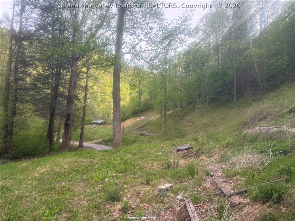 1971 Jarrells Branch Road Madison, WV 25130 - Photo 10 of 13 Gallery Image 10